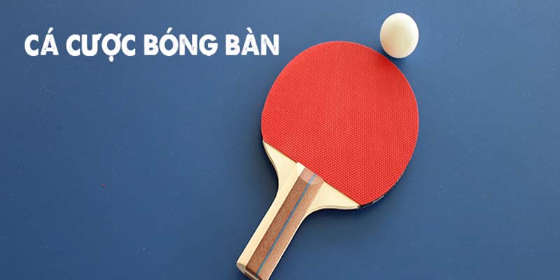 Cá cược bóng bàn