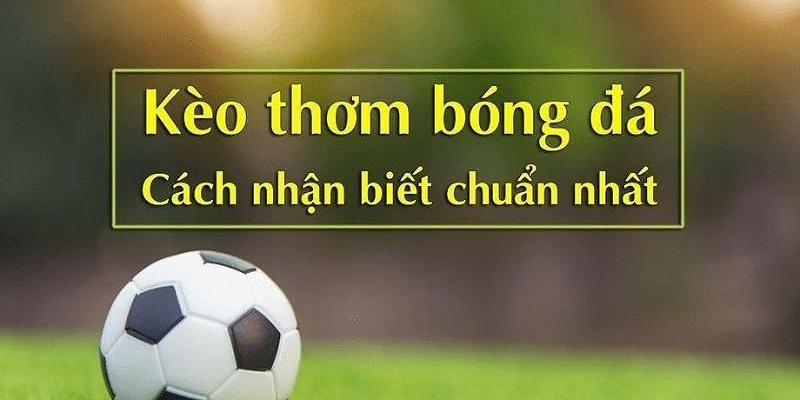 cách nhận biết kèo thơm